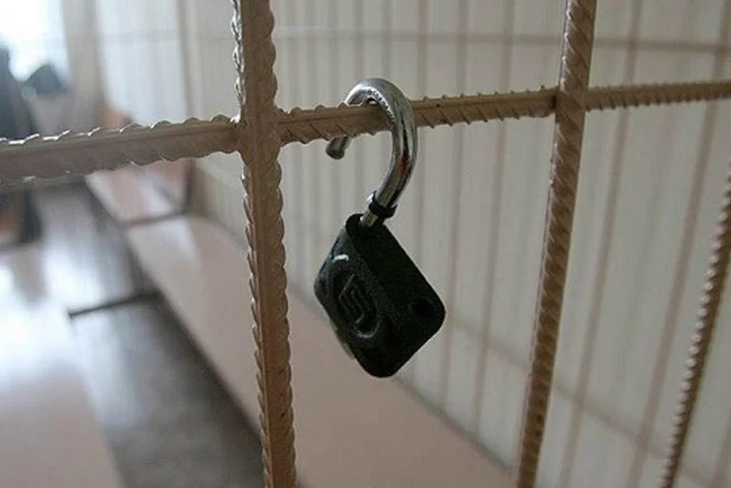 В Грузии суд освободил бывшего депутата под залог