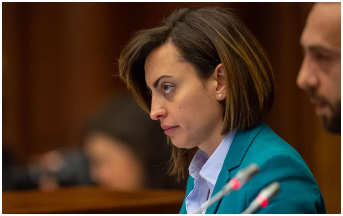 Vice President of Armenia's National Assembly calls opposition MP 'stupid'