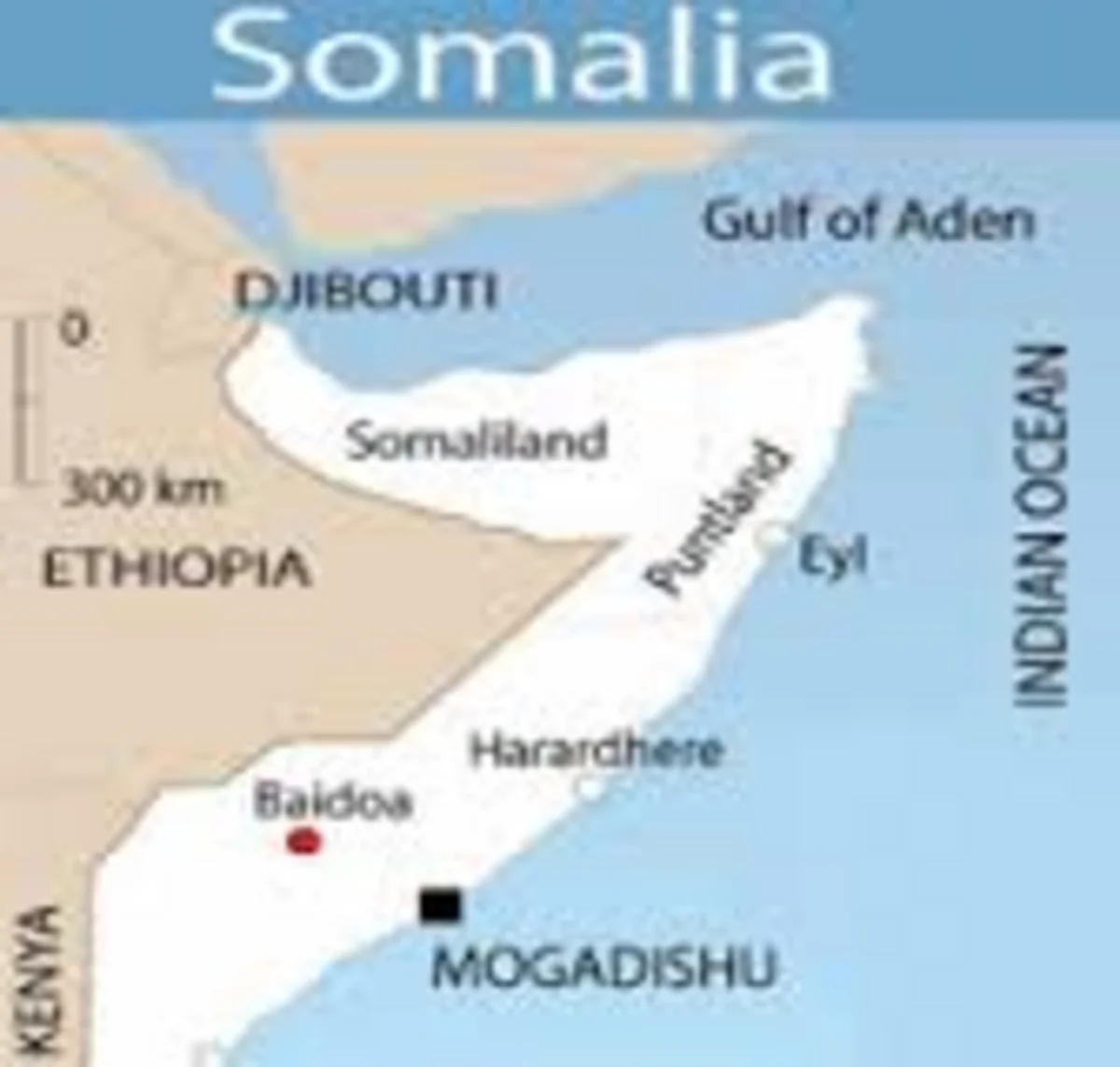 ​Somali Islamist with $3 million U.S. bounty on head surrenders - government source