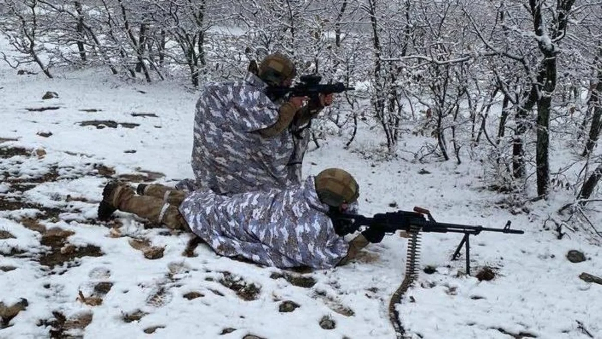 В Турции начался новый этап антитеррористической операции Eren