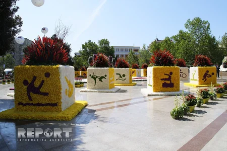 Bakıda Gül bayramı keçirilir - FOTOREPORTAJ