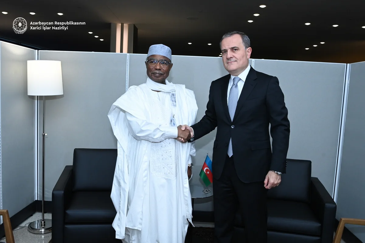 FM mulls Azerbaijan's COP29 presidency with OIC Sec.-Gen.