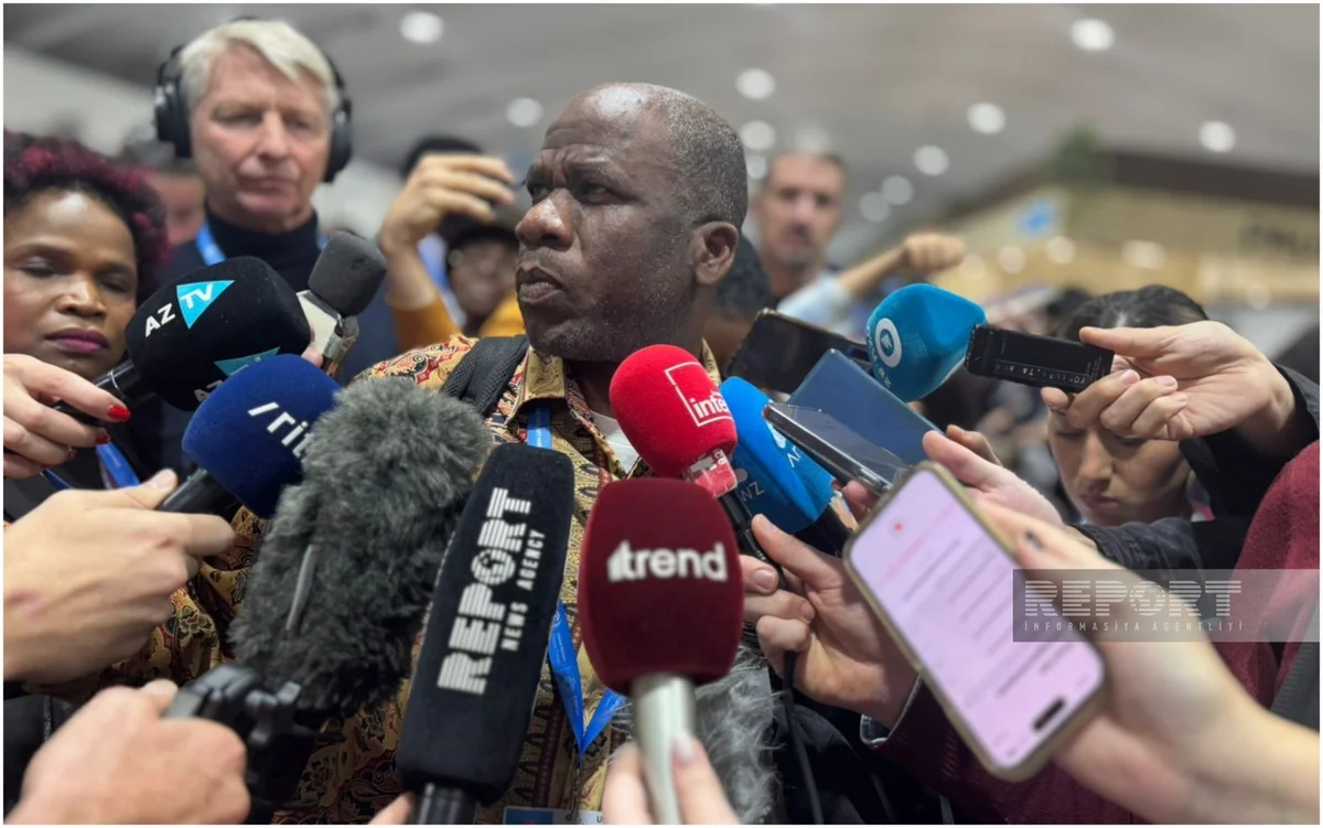 Malavidən olan danışıqçı: Biz daha iddialı NCQG-nin müəyyən edilməsini tələb edirik