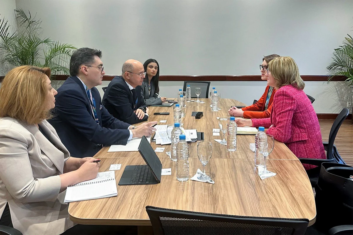 Azerbaijan and Hydrogen Council discuss energy cooperation