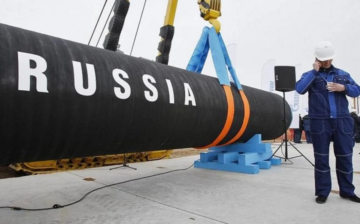 Germany halts Nord Stream 2 certification