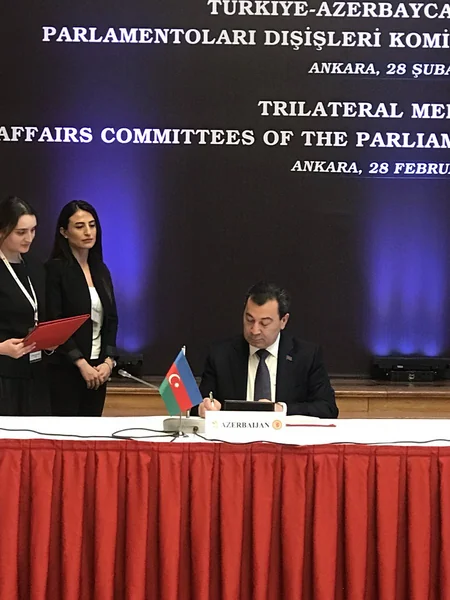 Foreign Affairs Committees of Turkey-Azerbaijan-Georgia Parliaments hold trilateral meeting