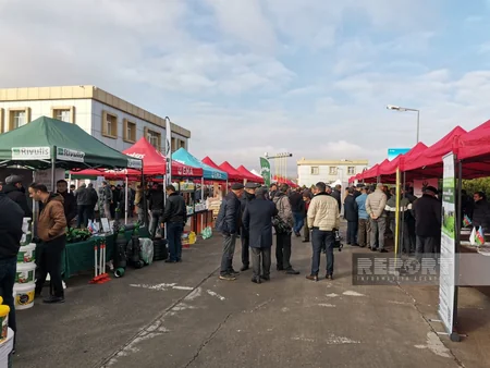 Kürdəmirdə Aqrar İnnovasiya Festivalı keçirilib