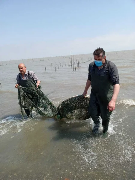 Водоемы Азербайджана очищают от запрещенных рыболовных снастей