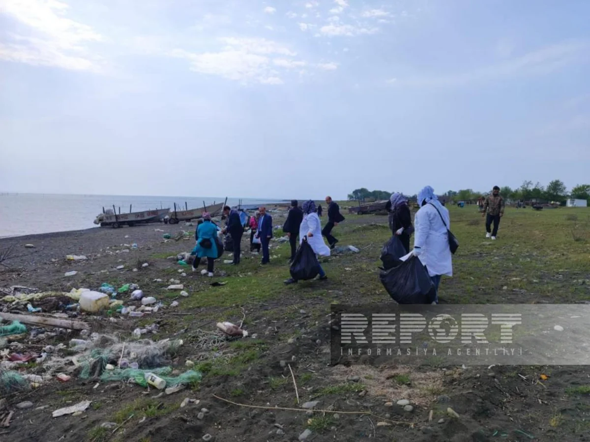 Lənkəranda sahilboyu ərazilərdə ekoloji aksiya keçirilib