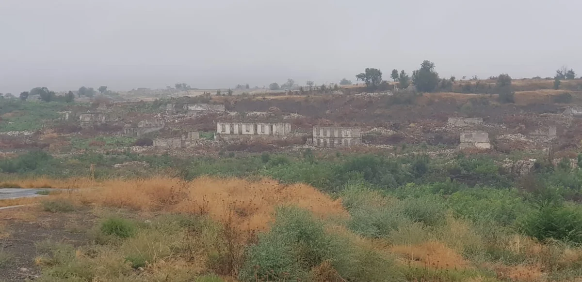 AMEA: Şuşada işğalçıların dağıtdığı meşələrin yerini kolluq basıb