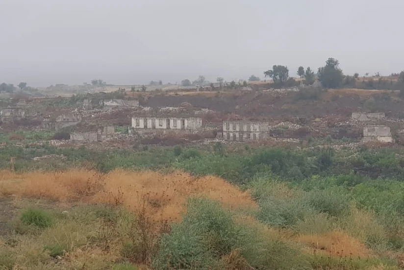 AMEA: Şuşada işğalçıların dağıtdığı meşələrin yerini kolluq basıb