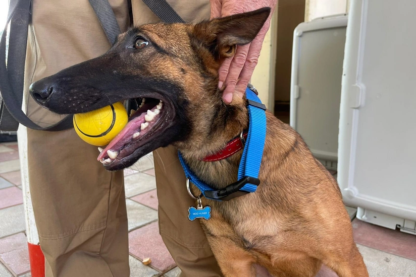 ABŞ-ın Azərbaycana verdiyi minaaxtaran itlərin saxlanıldığı mərkəz ziyarət olunub