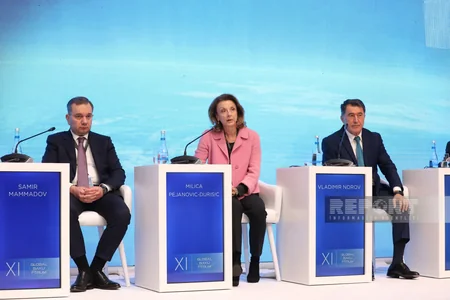 Bakı Forumu: Süni intellekt və dronlar əsrində yeni təhlükəsizlik paradiqması mövzusunda panel iclası keçirilib