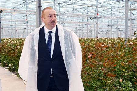 Prezident Qəbələdə gülçülük istixanası ilə tanış olub - YENİLƏNİB