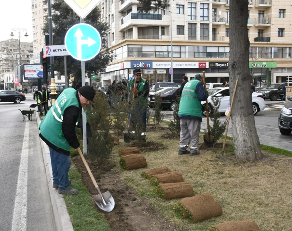 В Баку проведен общегородской субботник