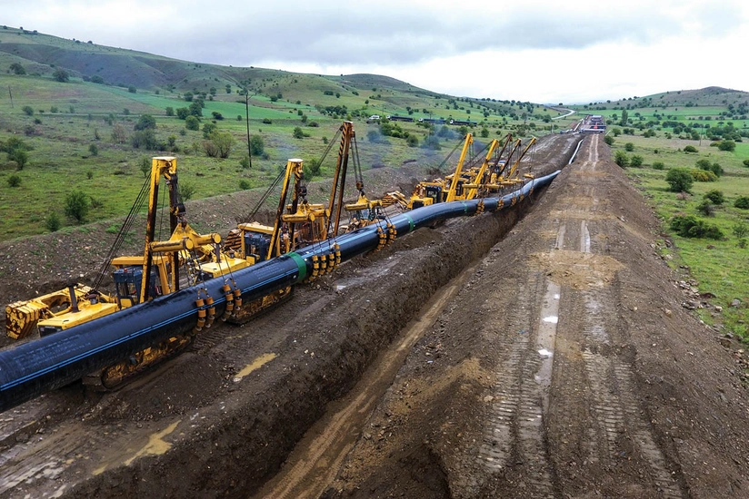 TAP reinstates olive trees extracted during construction