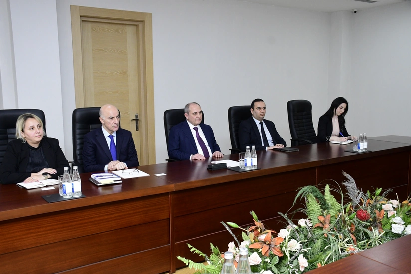 NAP holds meeting with head of OSCE/ODIHR Election Observation Mission