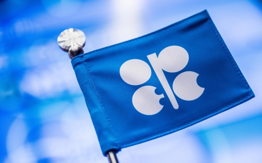 Azerbaijan to be represented in OPEC+ JMMC meeting in Abu-Dhabi