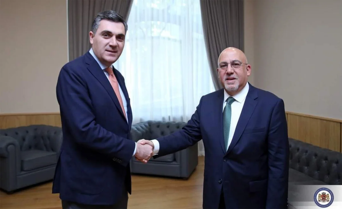 Gürcüstanın XİN başçısı Türkiyə səfiri ilə regiondakı vəziyyəti müzakirə edib