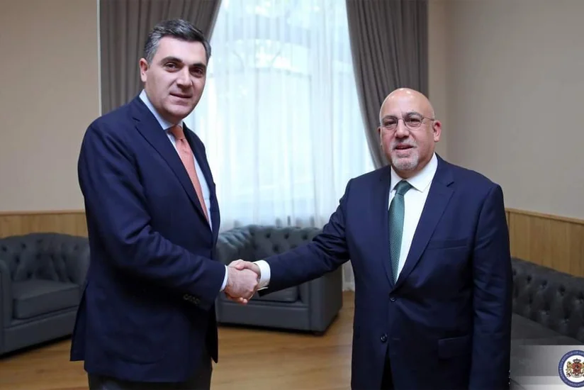 Gürcüstanın XİN başçısı Türkiyə səfiri ilə regiondakı vəziyyəti müzakirə edib