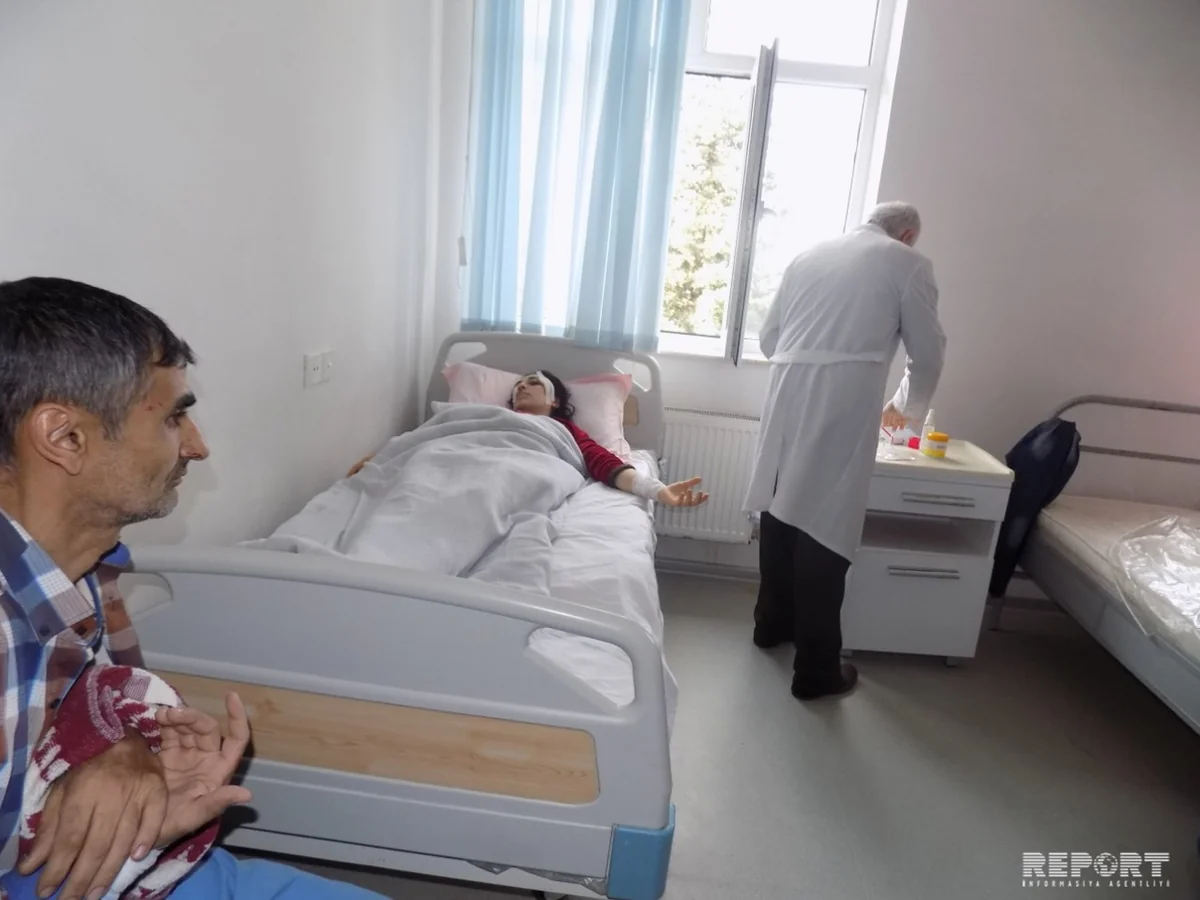 В Астаре волки напали на школьников, пострадали 7 человек - ФOTO
