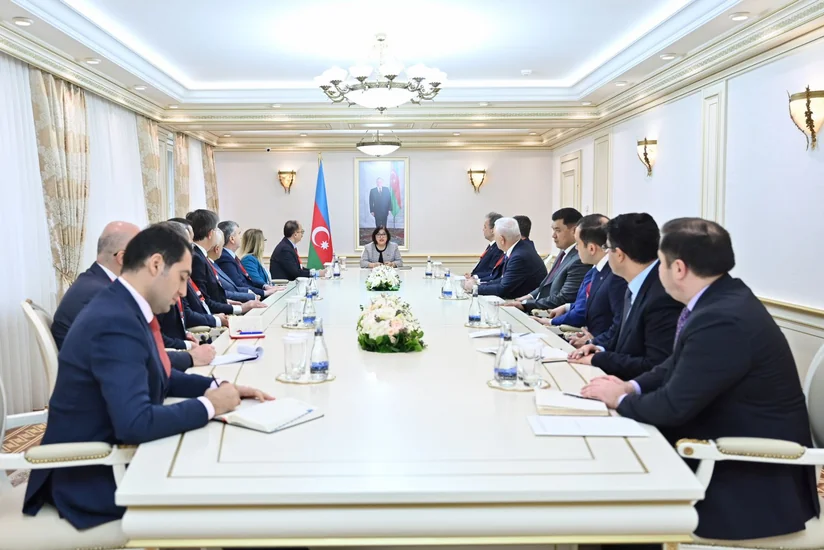 Сахиба Гафарова встретилась с делегациями парламента Турции и ТюркПА