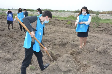 Bakı və Tərtərdə daha 1 225 ədəd müxtəlif cinsli ağac əkilib