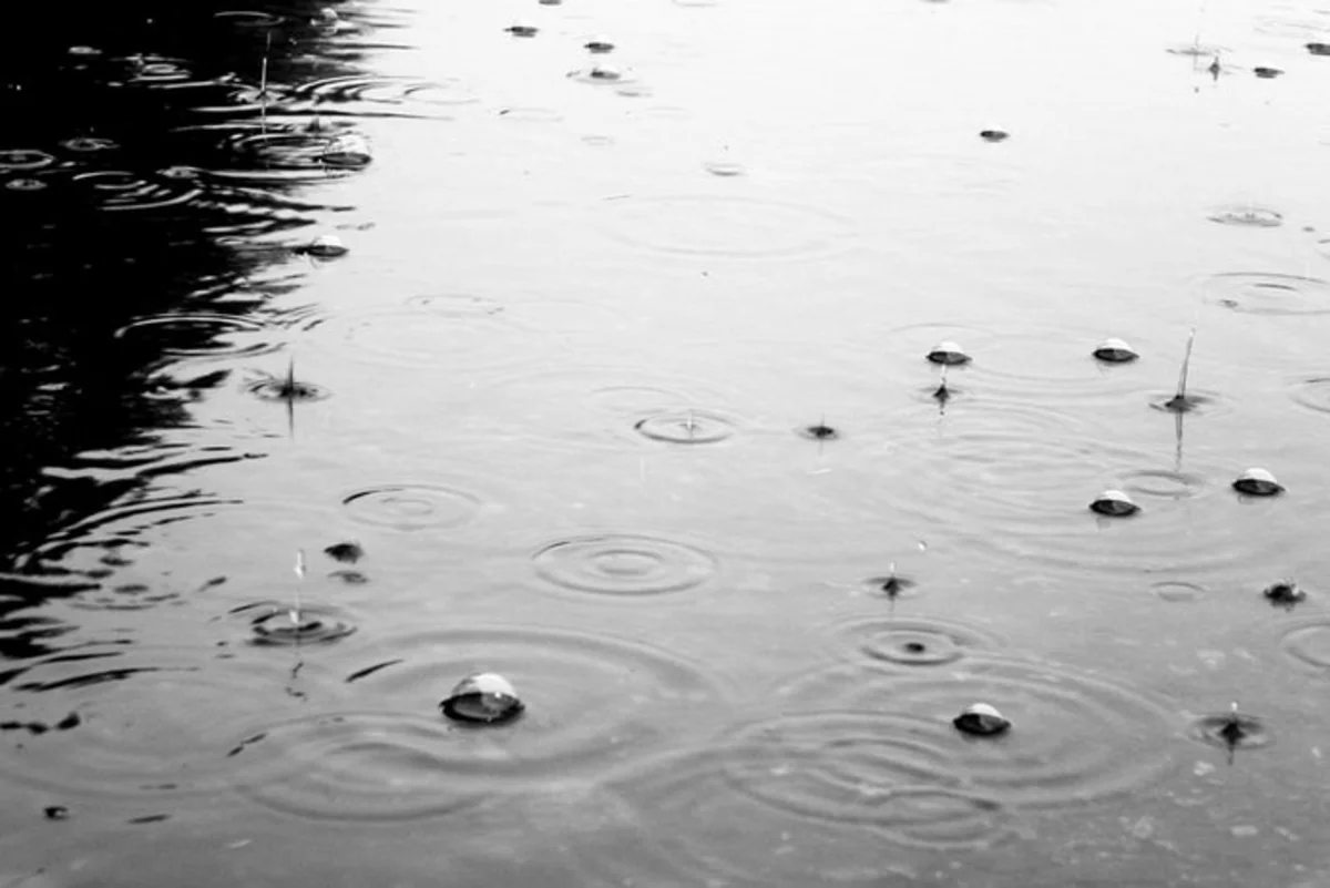 Rainy weather expected on January 24