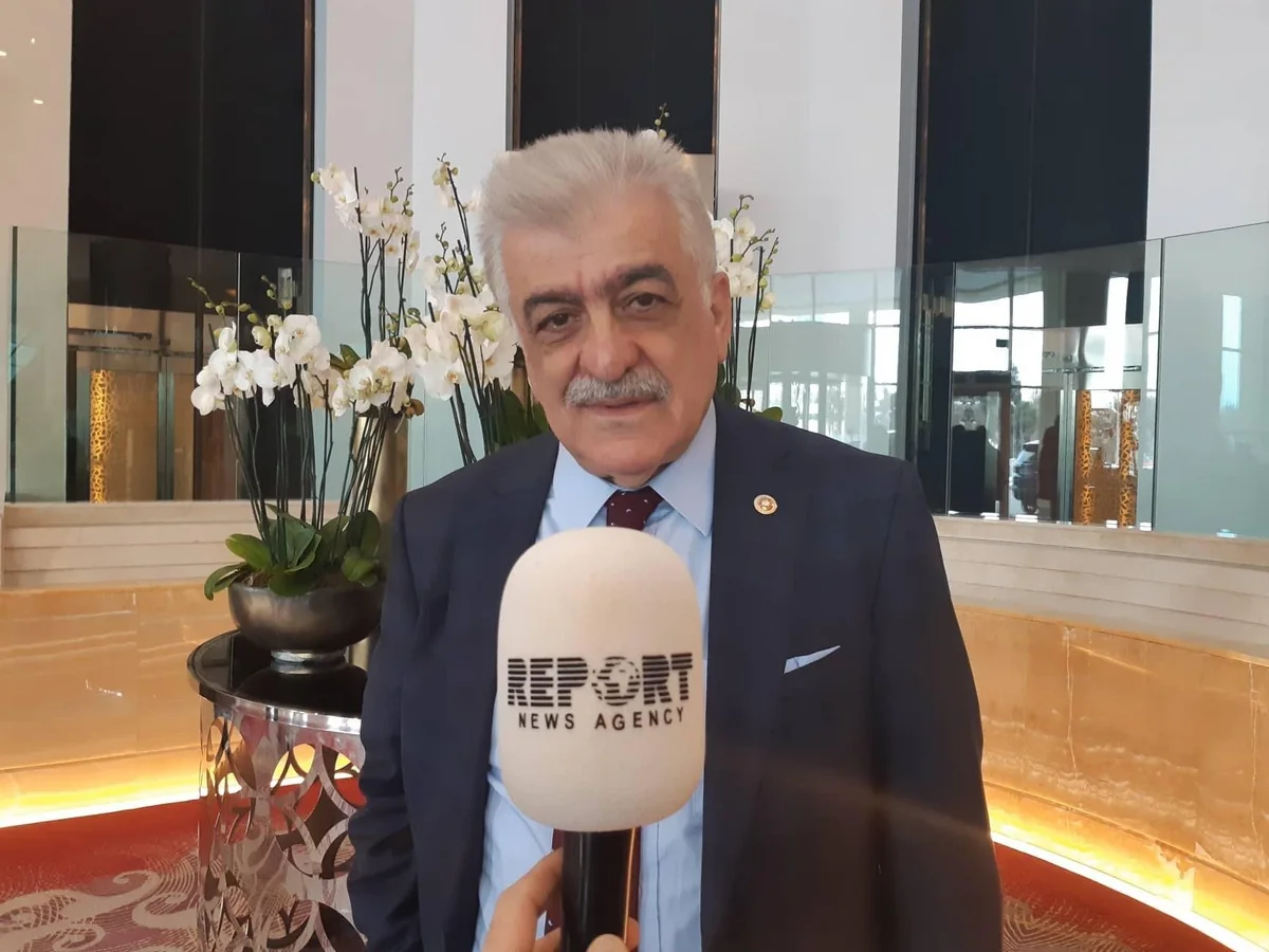 Şamil Ayrım: Ermənistanda hazırda acınacaqlı vəziyyət hökm sürür