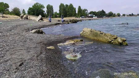 Lənkəranda tank əleyhinə mina tapılıb