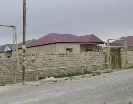 Asan qazanc hərisliyi COVID-19-dan daha yaşlı və qorxuludur - ARAŞDIRMA