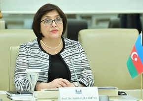 Sahibə Qafarova: Deputatın da, Milli Məclisin də yiyəsi Azərbaycan xalqıdır