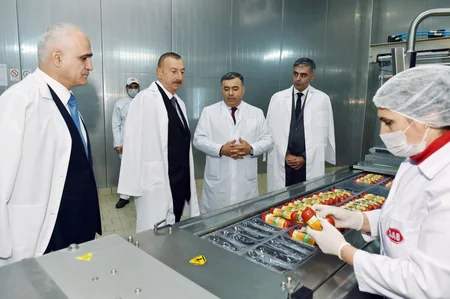 Prezident Abşeron rayonunda “Zəhmət-Ruzi” MMC-nin fəaliyyəti ilə tanış olub