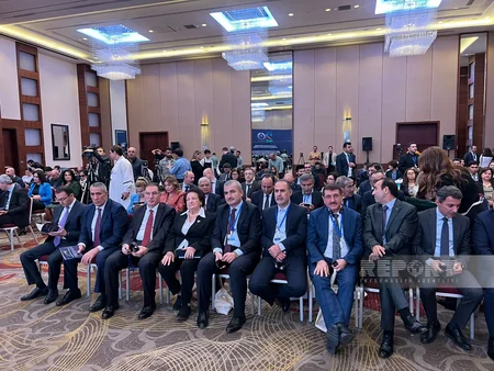Bakıda Ombudsmanların və Milli İnsan Hüquqları Təsisatlarının beynəlxalq konfransı keçirilir