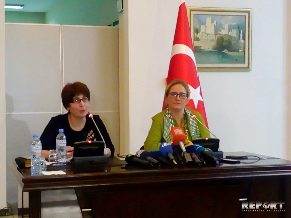 Ambassador: Turkey will continue military operations in Syria until terror threat is eliminated