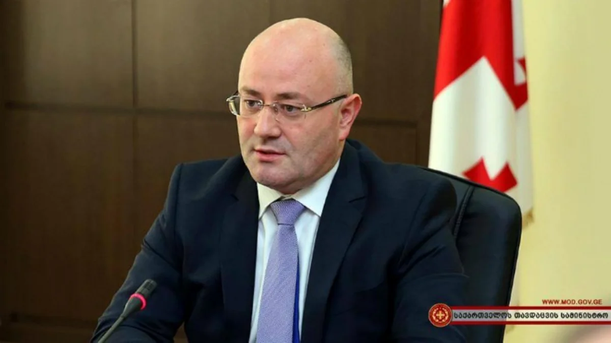 Министр обороны Грузии прокомментировал избиение азербайджанского солдата