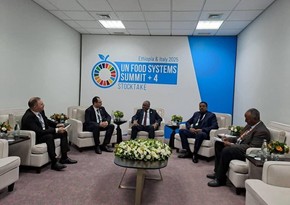 Azerbaijan and Ethiopia discuss strengthening agricultural cooperation