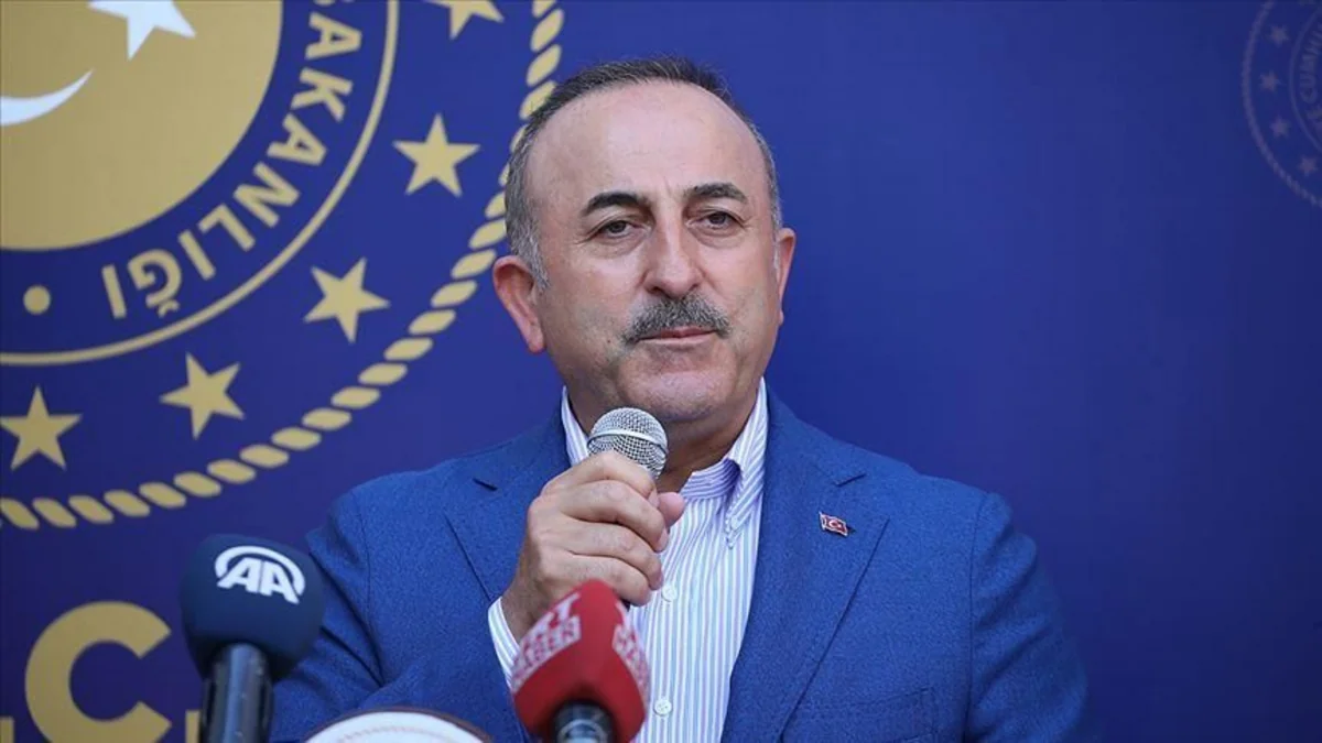 Глава МИД Турции: Анкара не примет требований США по С-400