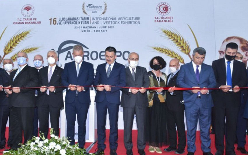 Azərbaycan Şimali Makedoniya ilə kənd təsərrüfatı sahəsində əməkdaşlıq edəcək