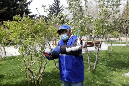 Azərbaycanda ödənişli ictimai iş yerlərinin sayı 51 minə çatdı