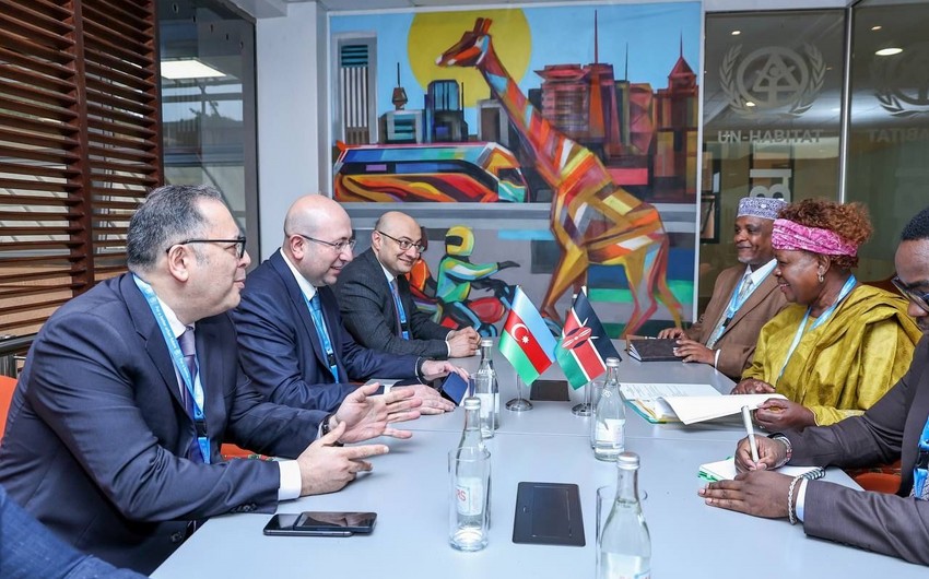 Azerbaijan, Kenya discuss cooperation in green urban development