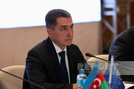 Bakıda Qərbi Azərbaycana qayıdışla bağlı kitabın təqdimatı olub