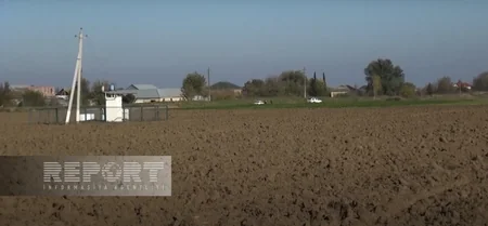 Cəlilabadda baş verən qətlin bəzi təfərrüatları məlum olub - YENİLƏNİB-2