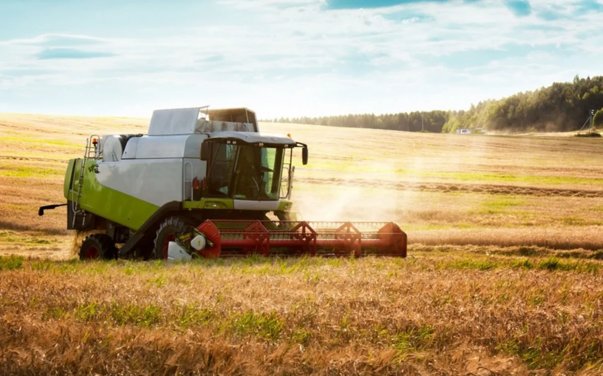 Bu il Azərbaycan 12 min tondan çox arpa idxal edib