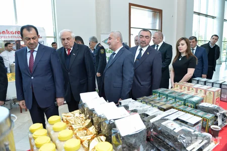 Lənkəranda ötən il 2704 yeni iş yeri açılıb - FOTO