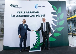Azərbaycanda yerli arpadan pivə istehsalına başlanılıb