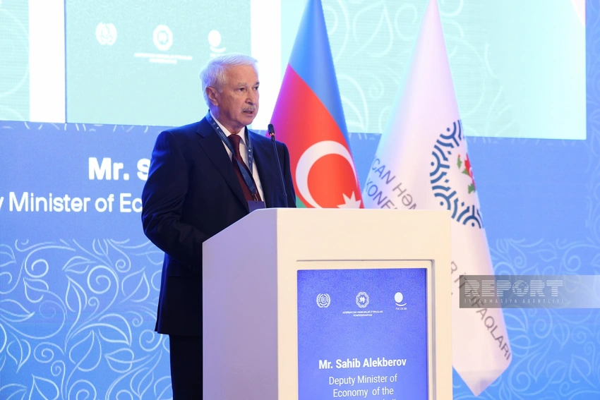 Nazir müavini: İqlim dəyişikliyi dünyada yeni vəziyyət yaradıb