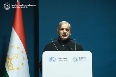 Azerbaijan's FM makes speech at Glaciers-2025: Taking Global Action to Protect Glaciers event