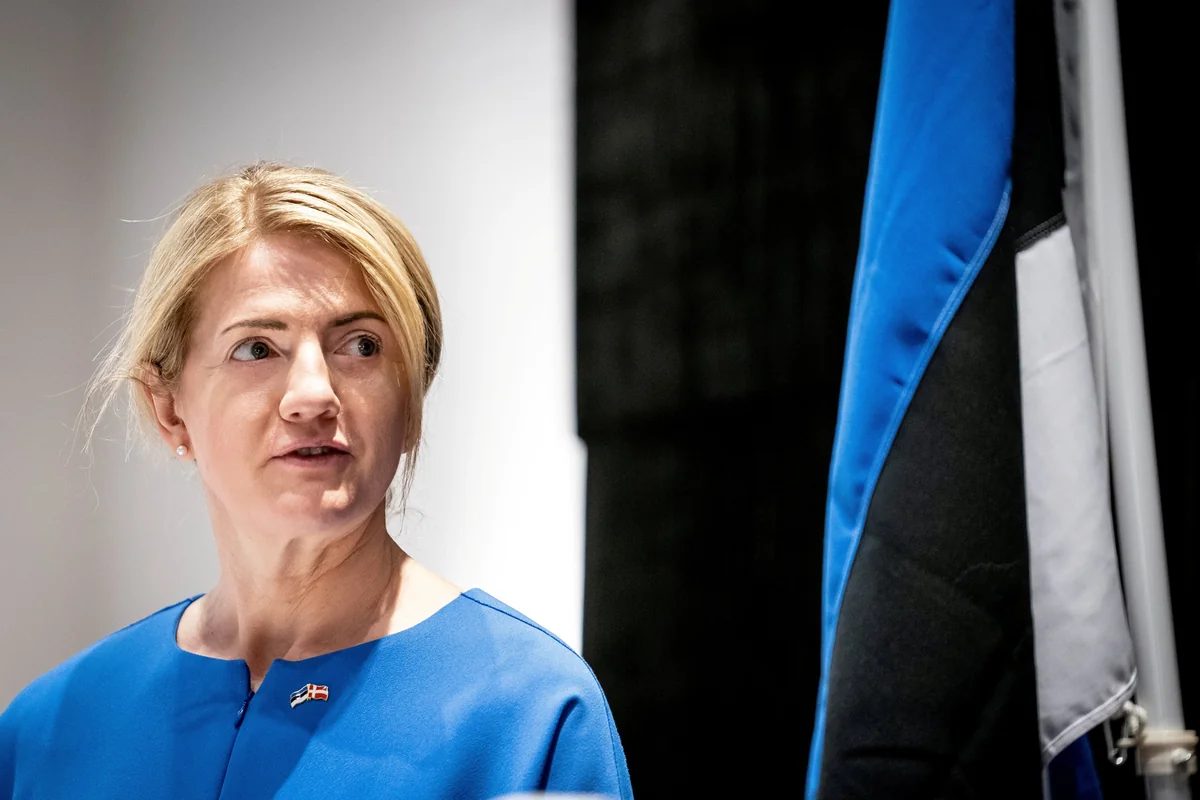 Estonia says 'concerned' about Russia's deployment of troops on Ukrainian border