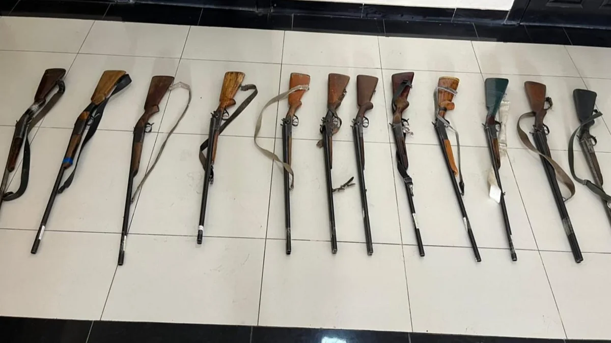 Cəlilabad sakinlərində qanunsuz saxlanılan odlu silahlar aşkarlanıb